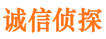 安源市私家侦探